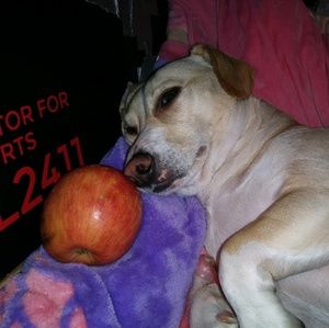 Meet your Posher, Sandra